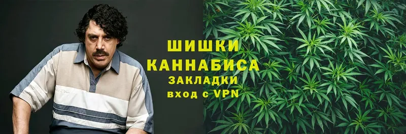 Каннабис OG Kush  Луга 